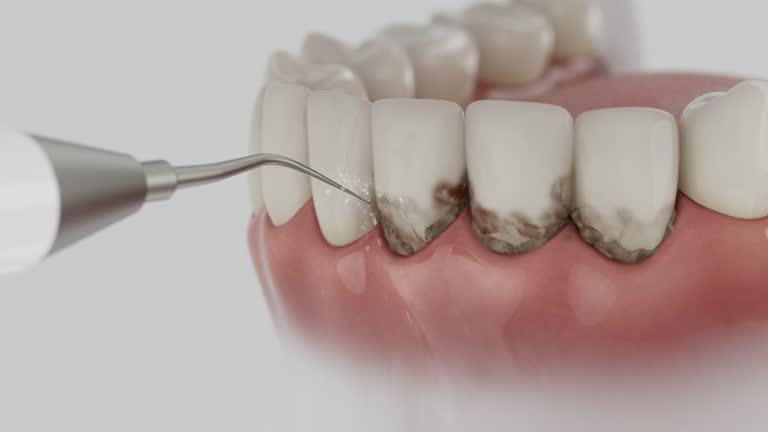 Reliable Dental contractor in Noroton Heights, CT by Dentist Open Now